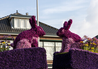  Rabbit made of hyacinths presented  in Noordwijkerhout