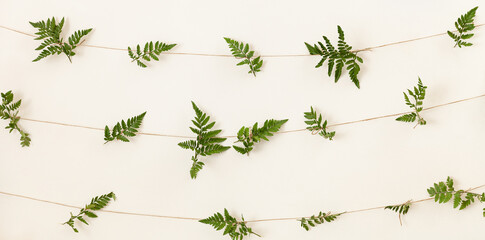 Light background of a wall decorated with leaves of fern on a string