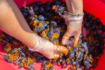 female hands knead plum pulp to prepare plum wine