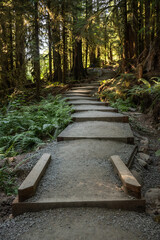 Gradual Stairs Climb up to Parking Area at Sol Duc Trailhead