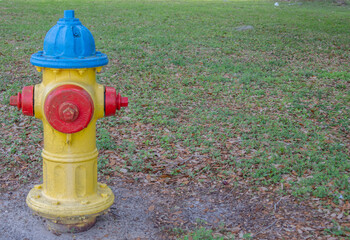 Colorful fire hydrant on grassy area in background with copy space