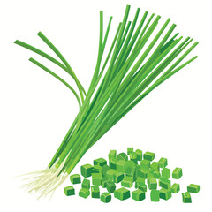 Chives isolated. Chopped fresh green onions flat ve