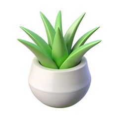 aloe vera plant in pot