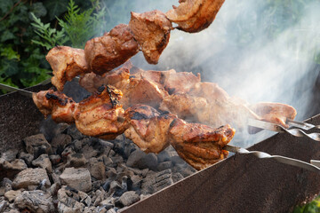 Barbecue on skewer. Fresh meat shish kebab prepared
