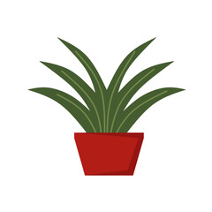 Vector realistic plant in pot. Suitable for indoor ornamental plants.