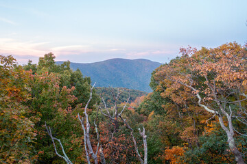 A Mountain Range in the Background of a Forest with Leaves Changing at Fall Autumn in Virginia Blue Ridge Mountains