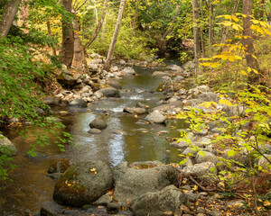 Creek in Lithia Park with Autumn colors from aesculus hippocastanum, horse chestnut - 766635702
