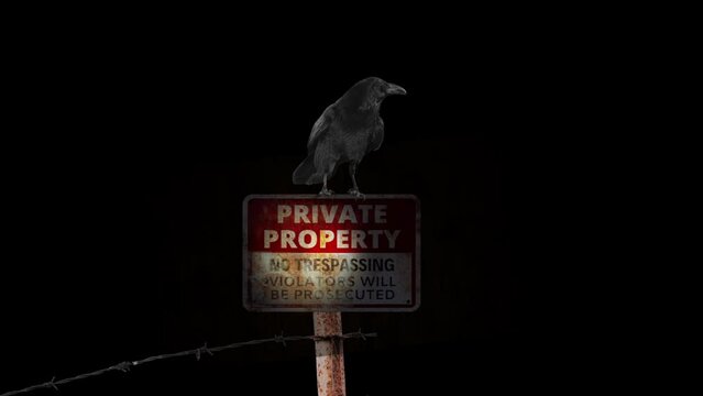Raven on a private property sign