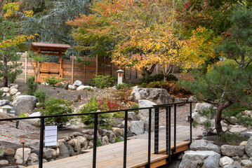 Autumn colors at Japanese Garden, Lithia Park, Ashland, Oregon, in 2023, including foot path, fence and wooden gate - 766636192