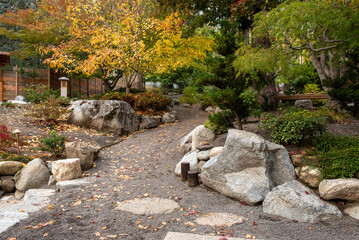 Fall colors at Japanese Garden, Lithia Park, Ashland, Oregon, in 2023 - 766636539