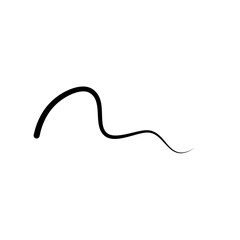 Illustration of Hair Strands. Black hair