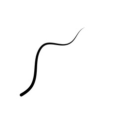 Illustration of Hair Strands. Black hair