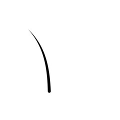 Illustration of Hair Strands. Black hair