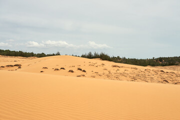 The texture of sand in the desert as a natural background.