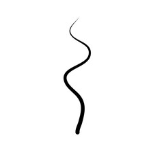 Illustration of Hair Strands. Black hair