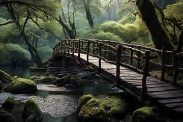 Foto op Plexiglas wooden bridge in the forest © asad