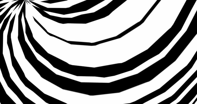 
Background with black and white geometric stripes.Abstract wallpaper. Seamless loop video.