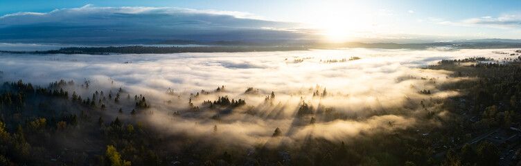 Early morning sunlight illuminates fog that has settled in the Willamette Valley in northern Oregon, not far south of Portland. The entire Pacific Northwest is known for its moist, temperate climate. - obrazy, fototapety, plakaty