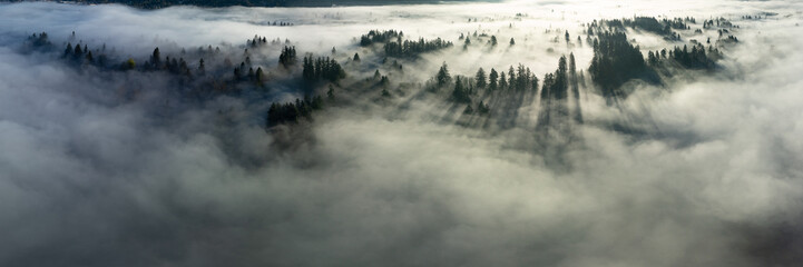 Early morning sunlight illuminates fog that has settled in the Willamette Valley in northern Oregon, not far south of Portland. The entire Pacific Northwest is known for its moist, temperate climate. - obrazy, fototapety, plakaty