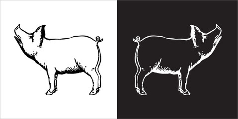 Illustration vector graphics of pig icon
