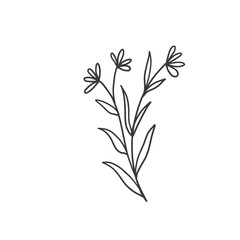 Flower vintage Baroque scroll Victorian floral ornament engraved retro pattern rose peony tattoo filigree vector