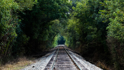 railway in the woods