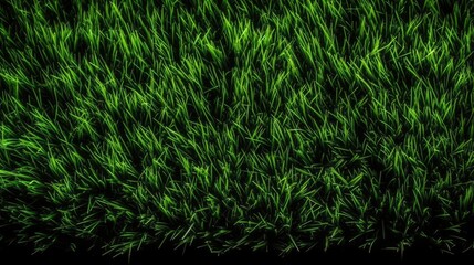 Close up of green grass on a black background.