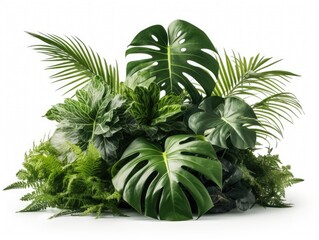 Fototapeta premium Bunch of tropical plants on a white background.