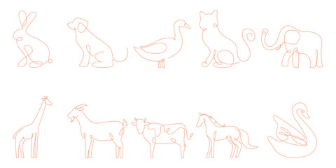 Animal Line Art