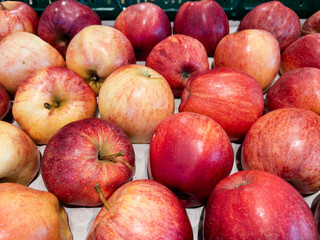 Fresh Apples Assortment at the Market