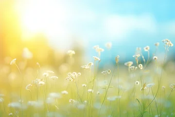 Schilderijen op glas Earth day concept: Abstract blur beautiful soft green bokeh light meadow and blue sky on autumn sunrise background - generative ai © Nia™