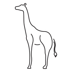 giraffe icon isolated on white background, vector illustration.