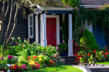 A red door on a wooden navy blue house with white trim. The cottage has lush greenery around the entrance. Red, yellow, pink, and white colored flowers, hydrangea shrubs, and green grass in front. - obrazy, fototapety, plakaty