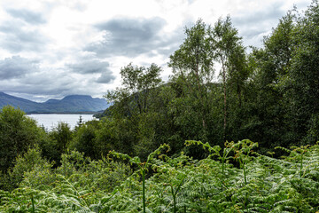 Fototapeta premium Views around Gairloch Scottish Highlands