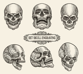 Set illustration skull head with engraving hand drawn style.