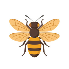 Honey Bee icon isolated on white background. Vector