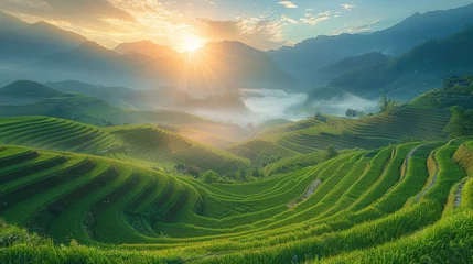 Foto auf Alu-Dibond beautiful green natural terrace rice field at Mu cang chai, Vietnam. © ANEK