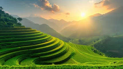 Stof per meter Rijstvelden beautiful green natural terrace rice field at Mu cang chai, Vietnam.
