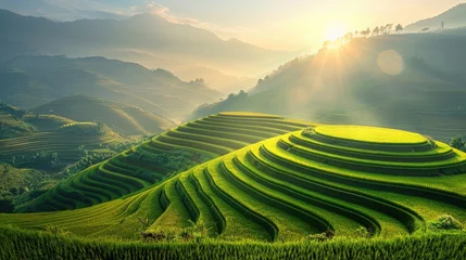 Fototapeten beautiful green natural terrace rice field at Mu cang chai, Vietnam. © ANEK