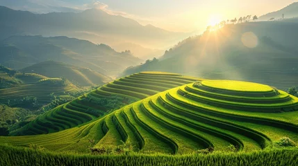 Foto auf Acrylglas Mu Cang Chai beautiful green natural terrace rice field at Mu cang chai, Vietnam.