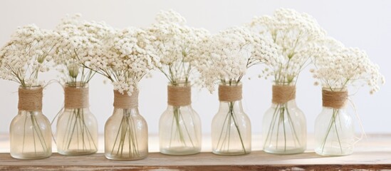 Five elegant glass vases are displayed, each containing small and dainty white flowers adding a touch of simplicity and beauty
