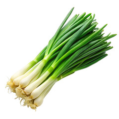 Fresh green spring onions isolated on transparent background.
