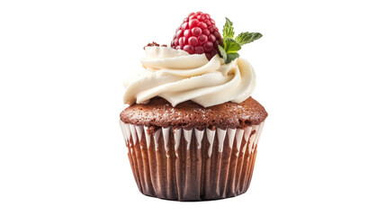 Chocolate cupcake with whipped cream and raspberry