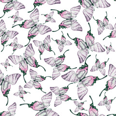 butterfly pattern 1