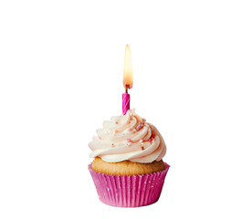 birthday cupcake with candle isolated on transparent background PNG high quality 