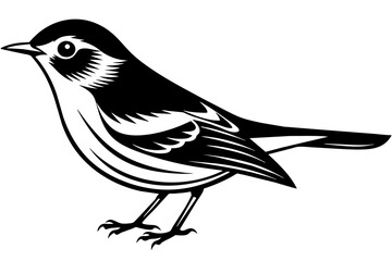warbler vector illustration