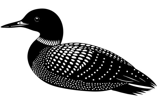 recommend clip art: loon silhouette vector illustration