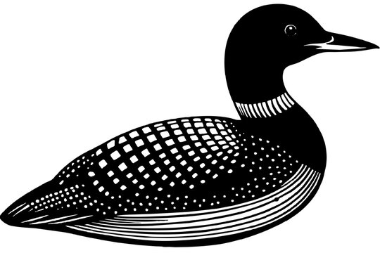 recommend clip art: loon silhouette vector illustration