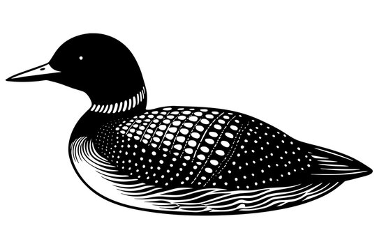 recommend clip art: loon silhouette vector illustration