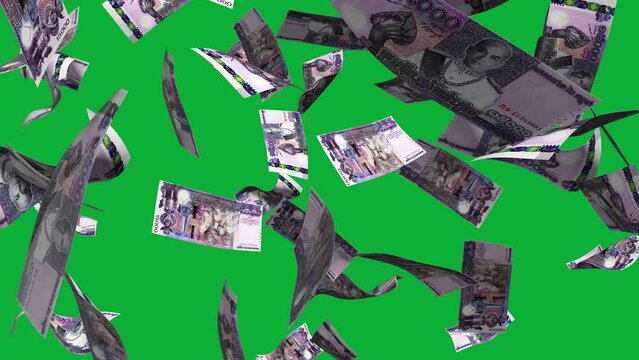  animation of Cambodian riel notes Falling On Green screen. You can remove the background by keying or subtracting with the black and white matte to replace with a custom one